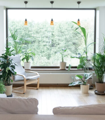 eko domácnosť, zelený domov
